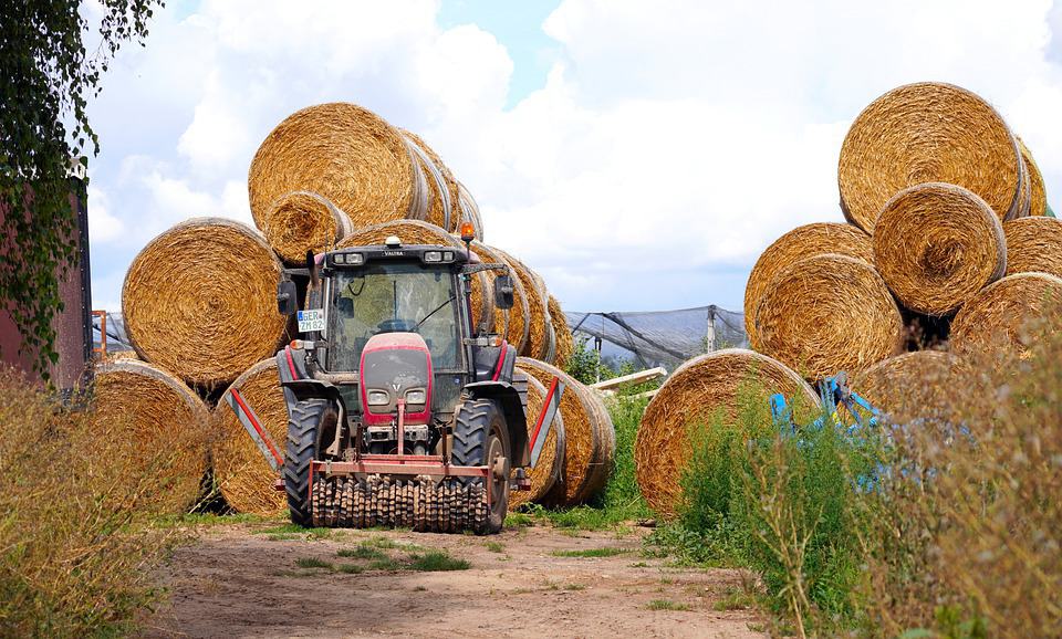 tractor on farm